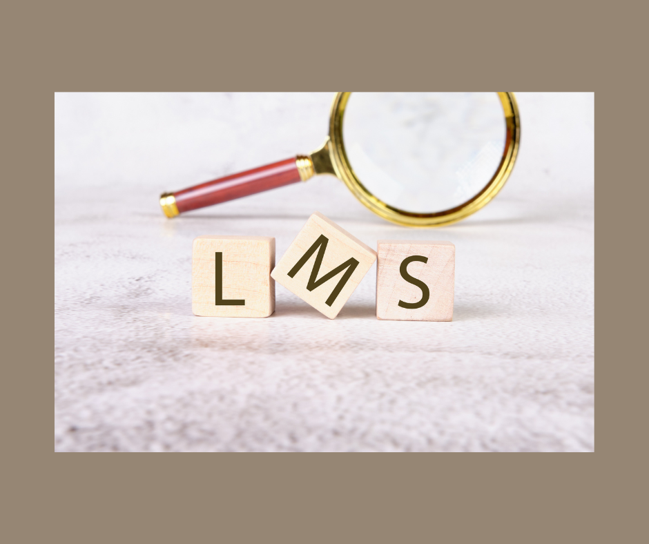 LMS Image with blocks and a magnifying glass